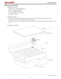 S216SE2F Datasheet Page 13