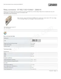 2899316 Datasheet Cover