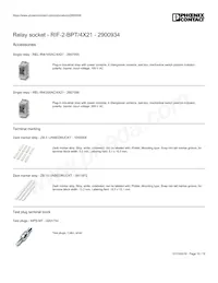 2900934 Datasheet Page 15