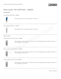 2900961 Datasheet Page 6