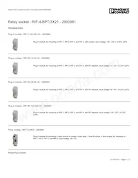 2900961 Datasheet Page 8