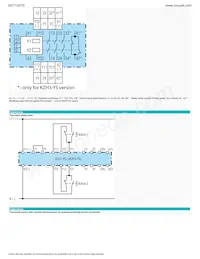 85102631 Datasheet Page 5