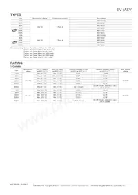 AEV19024 Datasheet Page 2