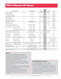 B40-0003B Datasheet Pagina 2