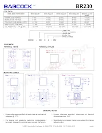 BR230-290C1-28V-017M Datasheet Page 2