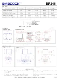 BR246-320A2-28V-024M Datasheet Page 2