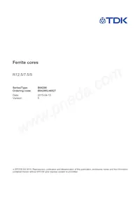 B64290L0044X027 Datasheet Copertura