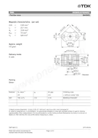 B65805J0160A087 데이터 시트 페이지 2