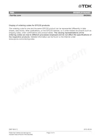 B65805J0160A087 Datasheet Pagina 4