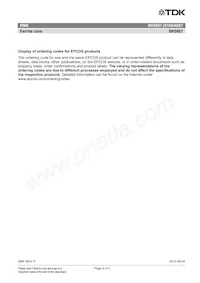 B65807J0160A087 Datasheet Pagina 4