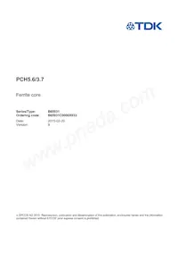 B65931C0000X033 Datasheet Cover