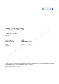 B39421B5053Z810 Datasheet Pagina 3