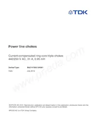 B82747S6313N061 Datasheet Cover