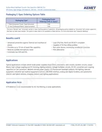 C2220C474KCR1C7186 Datasheet Page 2