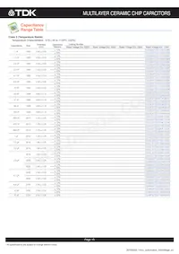 CGA8R4C0G2J333J200KA Datasheet Page 16
