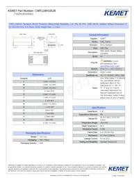 CWR11MH105JB數據表 封面