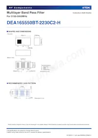 DEA165550BT-2230C2-H Datasheet Pagina 2