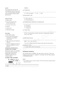 PE0612FKF070R01L Datasheet Page 2