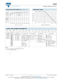 PNM0603E2002BST5 Datasheet Page 3