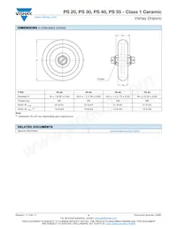 PS0040BE20133BJ1 Datasheet Page 4