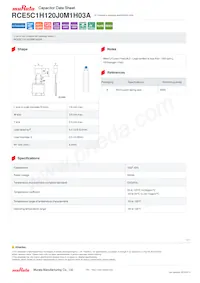 RCE5C1H120J0M1H03A 데이터 시트 표지