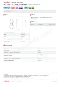 RCE5C1H122J0DBH03A Datasheet Cover