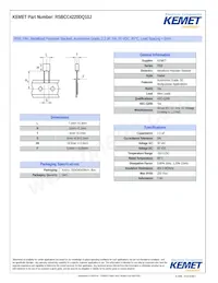 RSBCC4220DQ10J Datasheet Copertura