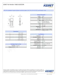 RSBCC4220Z310K Datasheet Copertura