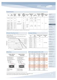 RUW3216FR100CS Datasheet Page 9