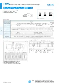 RV5-50V101MG10U-R2 Datasheet Cover