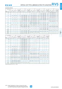 RV5-50V101MG10U-R2 Datasheet Page 2