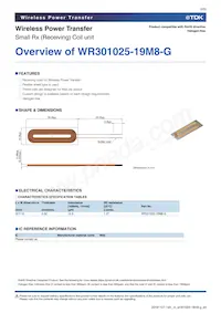 WR301025-19M8-G數據表 頁面 2