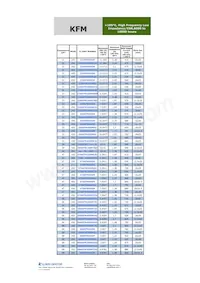 227KFM250MLCG Datasheet Page 3