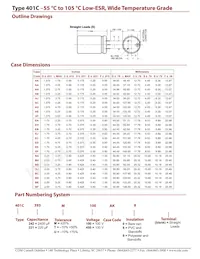 401C113M063AH8 Datenblatt Seite 2