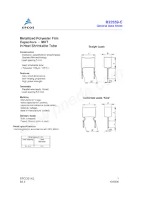 B32559C3823K000 Datasheet Cover