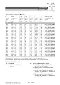 B43510A5228M87 Datasheet Page 13