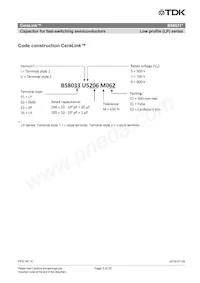 B58031U5105M002 Datasheet Page 5