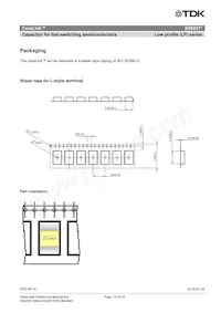 B58031U5105M002 데이터 시트 페이지 14