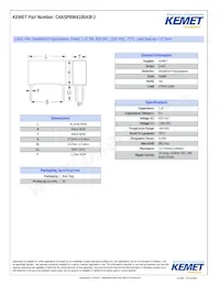 C4ASPBW4100A3FJ 표지