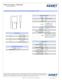 CK06BX105KT/R Datasheet Copertura