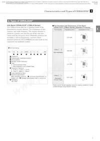 CSBLA640KEC8-B0 Datasheet Page 5