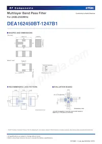 DEA162450BT-1247B1 Datasheet Page 2
