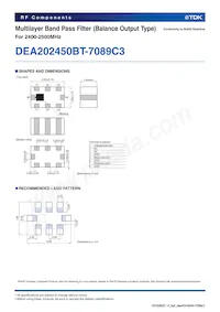 DEA202450BT-7089C3 Datasheet Page 2