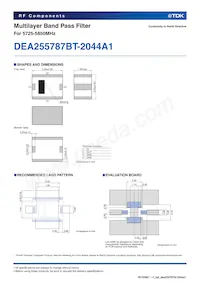 DEA255787BT-2044A1 Datasheet Page 2