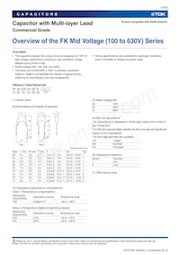 FK28X7R1H102KNE06 Datasheet Page 13