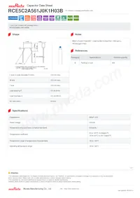 RCE5C2A561J0K1H03B Datasheet Cover