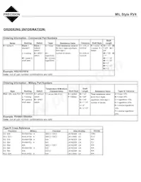 RV4NAYSD500A Datasheet Page 3