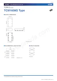 TCM0806G-900-2P-T200 Datasheet Pagina 11