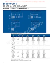 DB40S4SS4P3-12 Datasheet Page 14