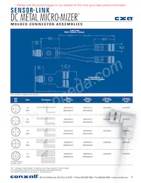 DB40S4SS4P3-12 Datasheet Page 21